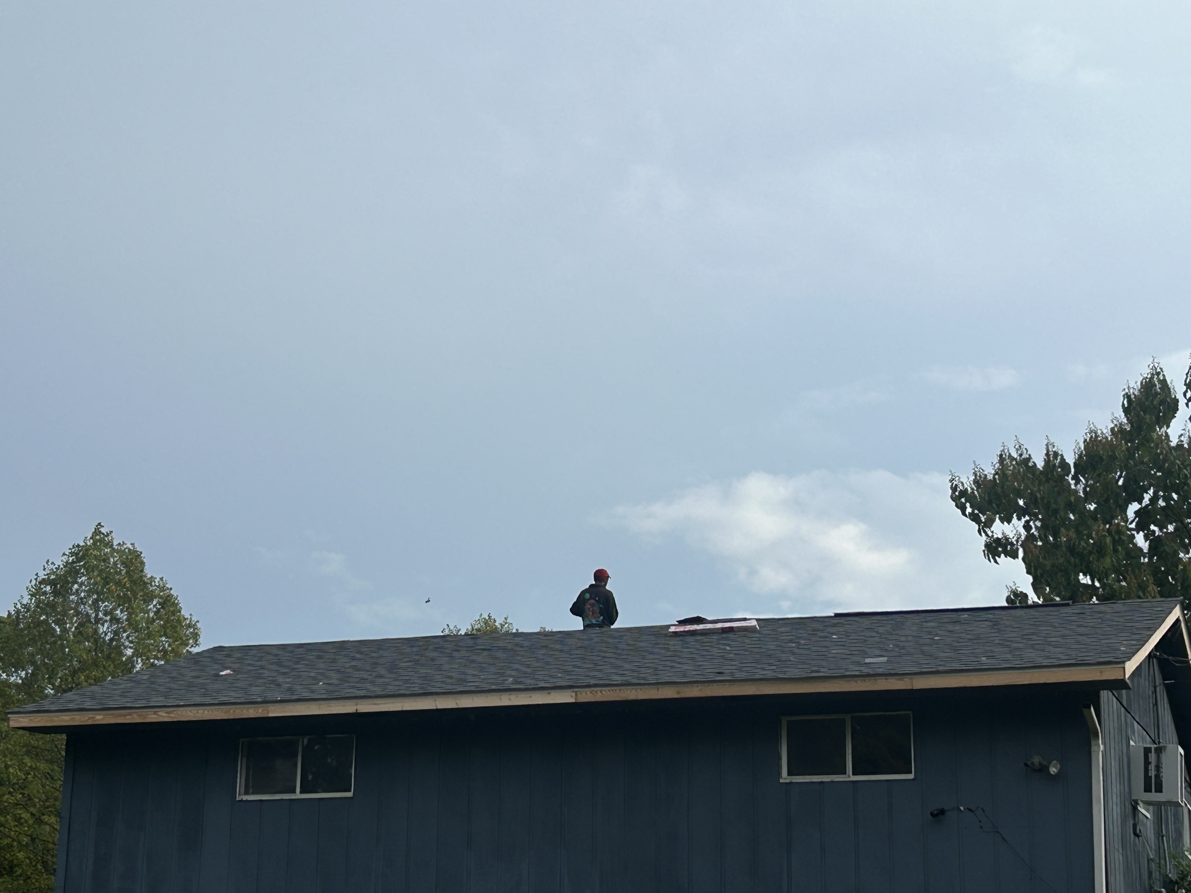 IMG 4617